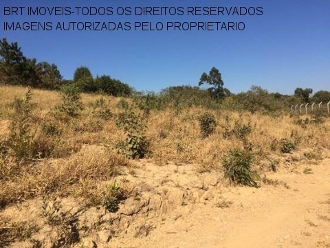 Imagem 10 de 12 de Terreno - Te00103 - 32800263