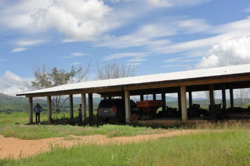 Imagen 13 de 25 de Finca De 400 Has En Sabana Grande De Orituco