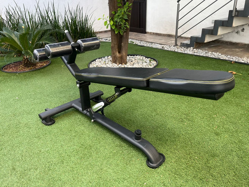 Banco Para Abdominales Profesional Fitness