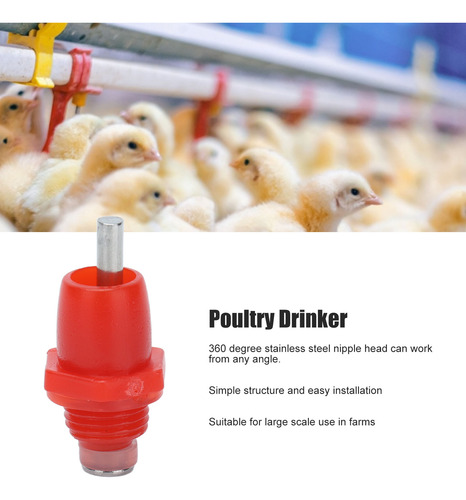 100 Tetinas De Agua Automáticas Para Pollo, Tipo Resorte De