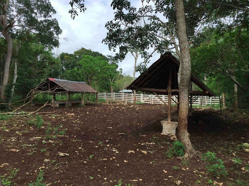Rancho Ganadero En Yucatán, México