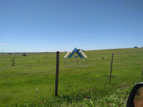 Imagem 11 de 12 de Fazenda Com 3 Dormitórios À Venda, 3993000 M² Por R$ 18.150.000,00 - Zona Rural - Presidente Venceslau/sp - Fa0004