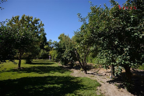 Imagen 26 de 30 de Parcela En Venta En San Bernardo