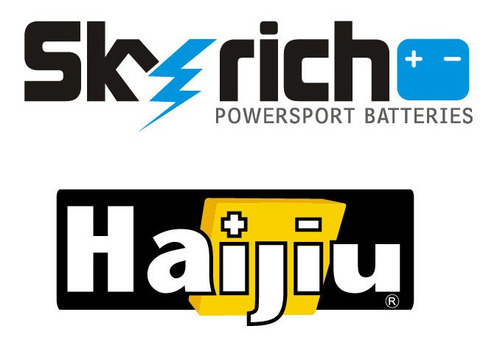 Imagen 7 de 9 de Bateria Litio Skyrich P/ Moto Lix20hq Libre Mant. Cuotas