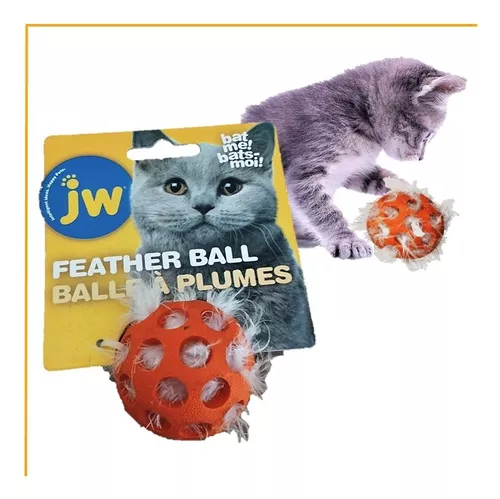 Compre 360 rotação inseto gato brinquedo interativo animal de estimação cão  brinquedo descomprimir lagarta ponta do dedo caracol brinquedos para  animais de estimação