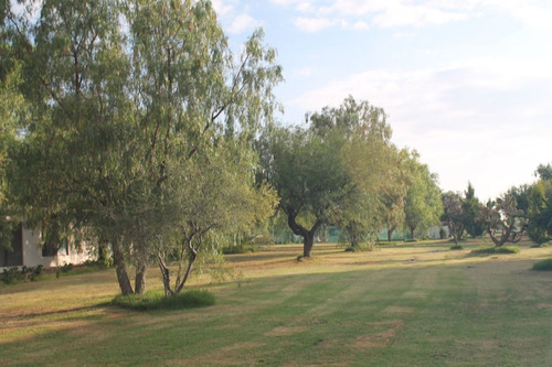 Imagen 7 de 8 de Casatuya, Terreno En Venta En Eden Los Sabinos 1,100 M2. Agu