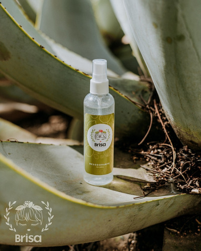 Imagen 2 de 8 de Desodorante Natural Alumbre 120 Ml Aloe Vera
