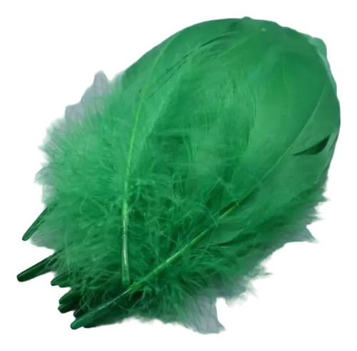 Plumas Decorativas Artificiales Color Verde Paquete X 20