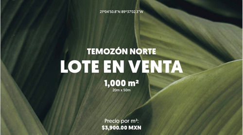 Terreno En Venta, En Mérida, Temozon Nte