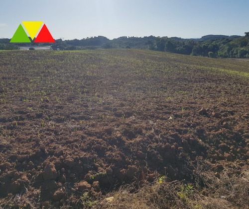 Imagem 14 de 30 de Chácara À Venda Em Contenda, Araucária R$ 500.000,00 - Ch00113 - 68066926