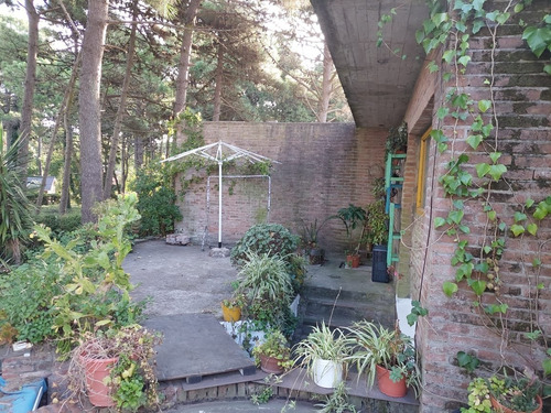 Imagen 18 de 24 de Casa En Pinamar-