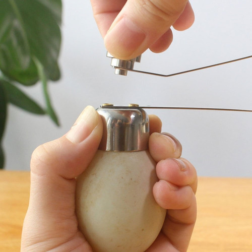 Herramienta Para Romper Huevos, Abridor De Huevos De Acero