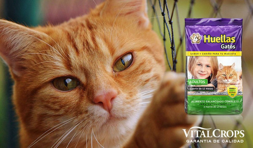 Alimento Para Gatos 4 Huellas Gatos Adultos Bolsa X 10 Kg