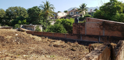 Imagen 13 de 15 de Lote Dharma
