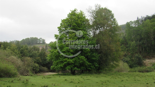 Parcela Con Rol Propio, Luz, Agua Potable Y Acceso Al Rio
