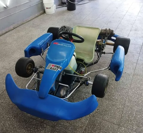 Karting De Competicion 125cc 2t