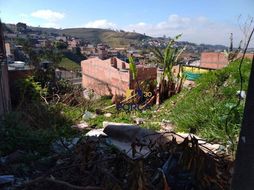 Terreno À Venda, 250 M² - Jardim Fortaleza - Guarulhos/sp - Te0049