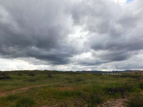 Imagen 1 de 3 de Terreno En Venta En La Cantera