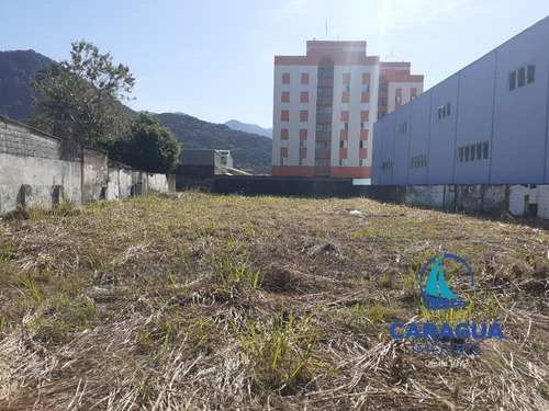 Imagem 3 de 21 de Area - Ar00004 - 1467501