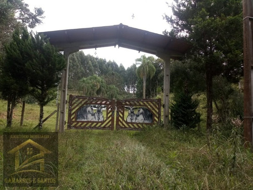 Imagem 2 de 30 de Aluga-se Chácara Com 18 Alqueires Com Casa E Estrutura Para Criação De Gado - Ch00029 - 33862242