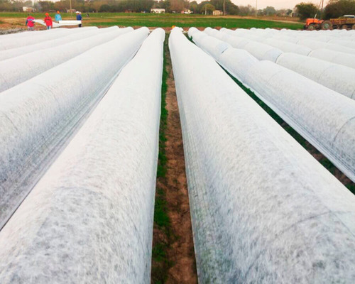 Tela Antihelada - 5 Capas - Más Protección - 2,00 X 10 M