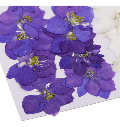 L 2 X 20 Pieces Natural Dried Flowers Delphinium Decoration