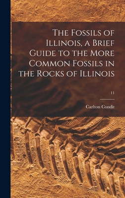Libro The Fossils Of Illinois, A Brief Guide To The More ...