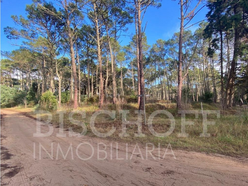 Lote En Carilo Barrio Zorzal Con Proyecto Y Planos Aprobados