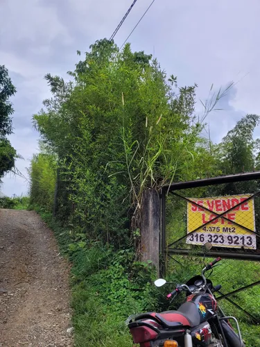 Lote En Venta, 4.375 Mt2 En Dosquebradas