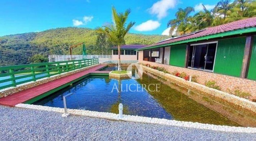 Imagem 6 de 30 de Linda Chácara Em Águas Mornas Com 3 Hectares - Ch0005