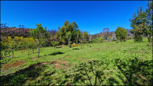 Parcela Con 2 Casas Y 8000m2 De Terreno (126968)