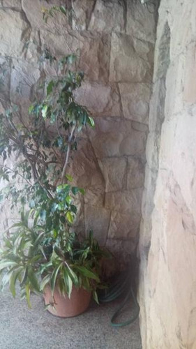 Casa En Venta 5 Ambientes En Lanús Este