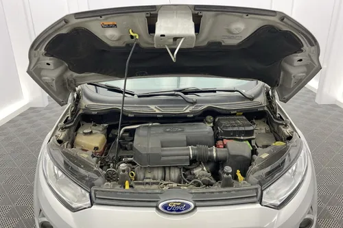 Ford Ecosport 2.0 4X2 FREESTILE