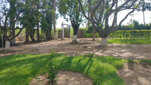 Imagem 7 de 30 de Chácara 15mil M2, Rica Em Água Com Nascentes, Tanque Com Peixes E Rio, Casa Sede Com 3 Dormitórios /1suíte, Casa Caseiro, Canil, Baia, Pomar, Piscina - Ch00253 - 70809480
