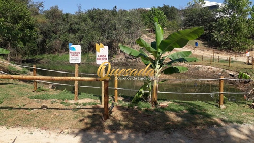 Imagem 17 de 19 de Terreno - Te00253 - 69578378
