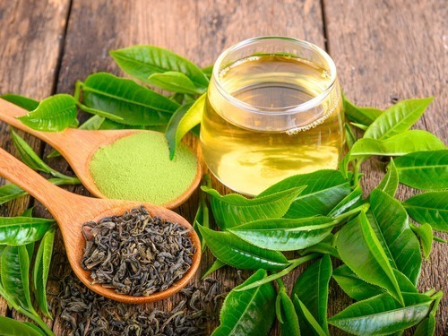 Chá Verde Importado Camellia Sinensis 1 Kg (linha Premium)