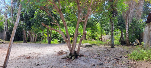 Vendo Uma Casa Contendo 02 Lotes Medindo 10x40 Cada