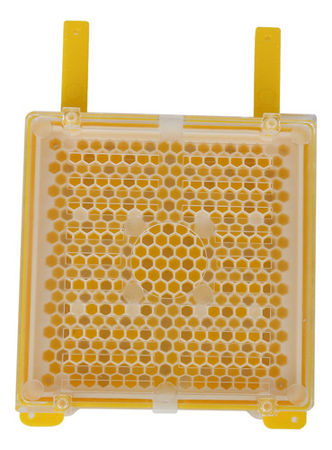 Paquete De Cría Queen Cell, Funda Protectora Full Bee