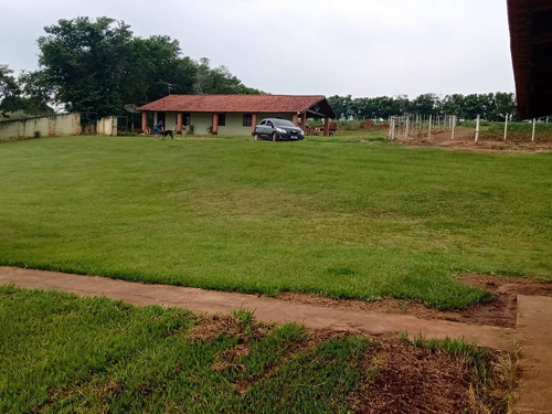 Sítio 5,5 Alqueires Rico Em Agua,localização Nobre,2 Casas Boas,4 Dorms Cada,4 Kms Do Asfalto,terra Fértil,vermelha,muitas Benfeitorias - St00053 - 69181042