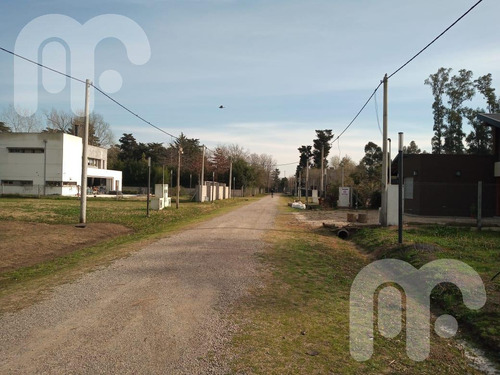 Imagen 4 de 30 de Venta Casa La Plata