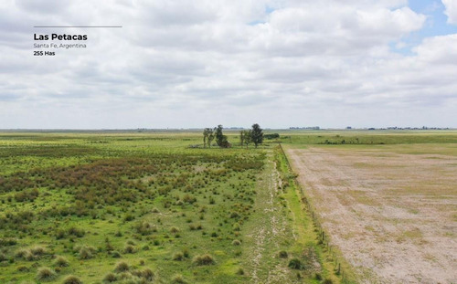 Campo De 255 Hectáreas En Las Petacas, Santa Fe