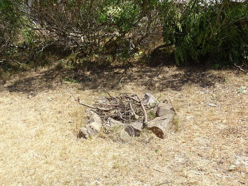 El Ojo En Valizas