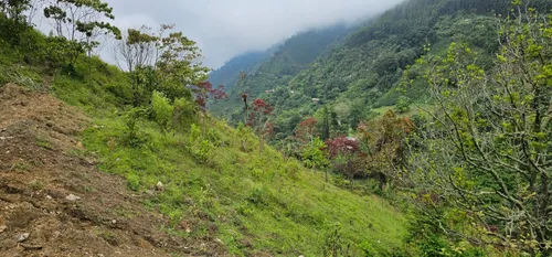 Venta De Lote En Santa Bárbara Vereda Pitayó Lote No. 2a