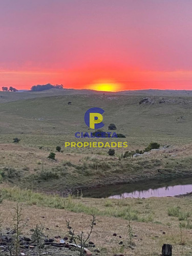47 Hectáreas Con Casa De Piedra Y Hermoso Parque