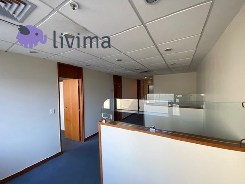 Sala Comercial Para Alugar Na Avenida Rio Branco 181, Centro, Rio De Janeiro - Rj - Liv-5175