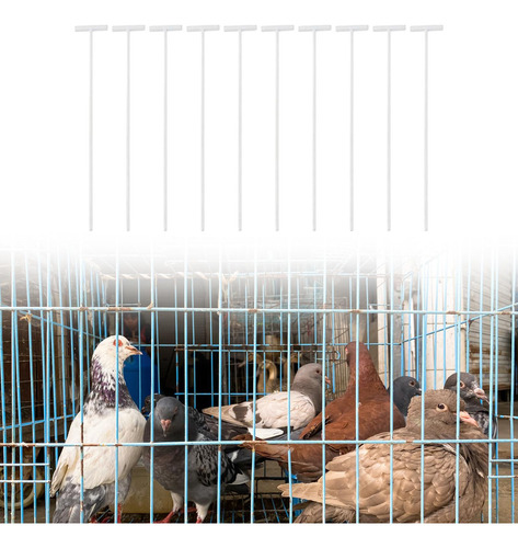 10x Pigeon Birds Entrance T Traps Flexible Entrance Frame