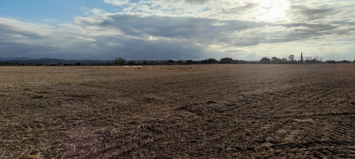 Imagen 5 de 17 de Campo 250 Hs 175 Laborables A 39 Km De Jesús María