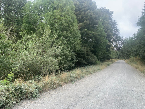 Parcela De 7.500 Mt2 En Sector Puninque