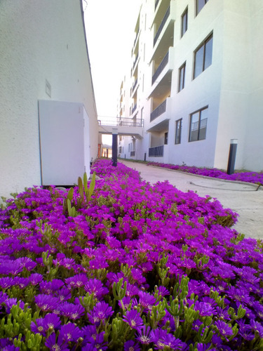 Arriendo Depto. 3d/2b + Est - Quilpué