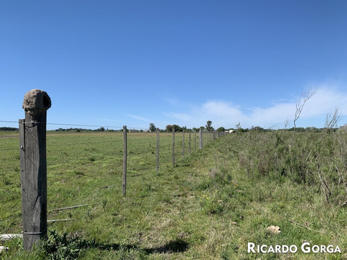 Venta Chacra Terreno Campo Canelones Villa Guadalupe Ruta 5